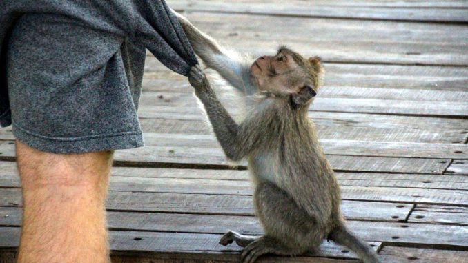 К большому сожалению: полиция о мерах безопасности против краж этим летом К большому сожалению: полиция о мерах безопасности против краж этим летом
