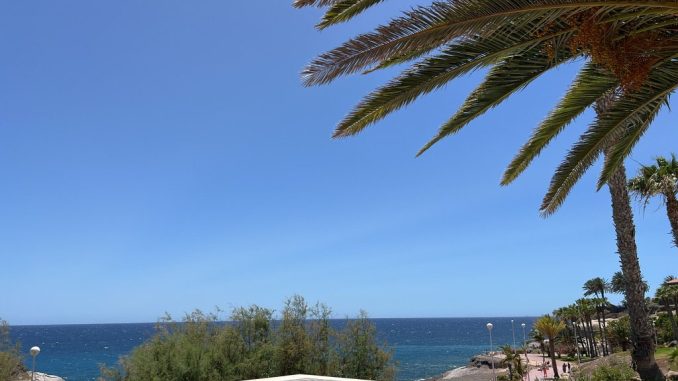 На Канарских островах немного поднимается температура и - ждём в гости калиму На Канарских островах немного поднимается температура и - ждём в гости калиму