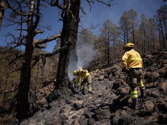 Пожару на Тенерифе хотят придавать меньше значения, хотя он всё ещё не контролируется