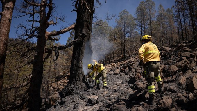 Пожару на Тенерифе хотят придавать меньше значения, хотя он всё ещё не контролируется Пожару на Тенерифе хотят придавать меньше значения, хотя он всё ещё не контролируется