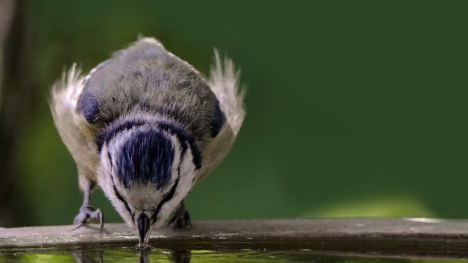 Канары: жара только притворялась, что ушла с островов - с воскресенья вернётся Канары: жара только притворялась, что ушла с островов - с воскресенья вернётся