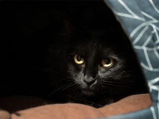 Инфляция подобралась к сбережения испанцев, сдерживая потребление и ВВП