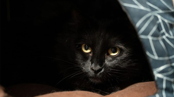 Инфляция подобралась к сбережения испанцев, сдерживая потребление и ВВП Инфляция подобралась к сбережения испанцев, сдерживая потребление и ВВП