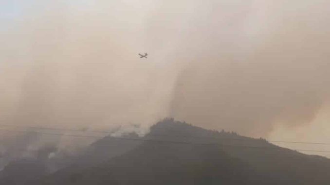 Продолжается эвакуация из муниципалитетов на севере Тенерифе, огонь не успокаивается Продолжается эвакуация из муниципалитетов на севере Тенерифе, огонь не успокаивается