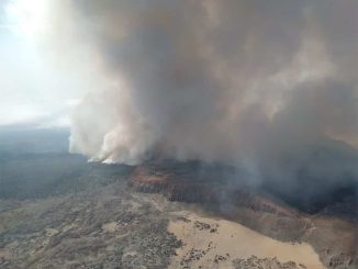 Тенерифе: огонь сдержали лишь частично, более 1000 гектаров им уже "съедены"