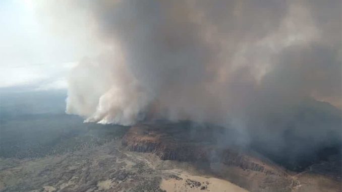Тенерифе: огонь сдержали лишь частично, более 1000 гектаров им уже "съедены" Тенерифе: огонь сдержали лишь частично, более 1000 гектаров им уже "съедены"