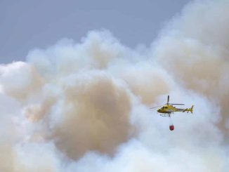 Пожар на Тенерифе: огонь находится вдали от городских районов, с ним борются