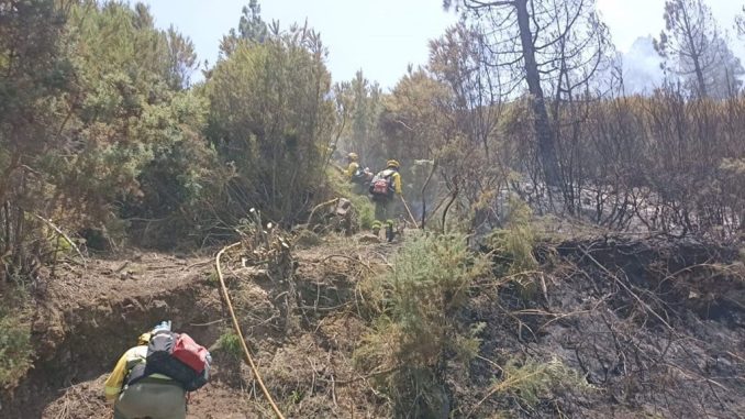 Пожар на севере Тенерифе приближается к Национальному парку Тейде, закрыта Masca Пожар на севере Тенерифе приближается к Национальному парку Тейде, закрыта Masca