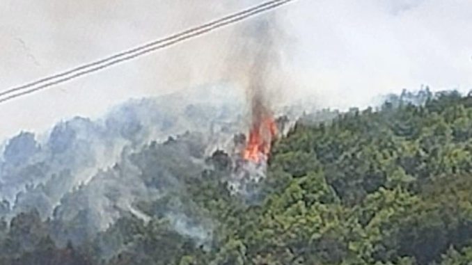 Три вертолёта и наземные команды участвуют в тушении пожара на севере Тенерифе