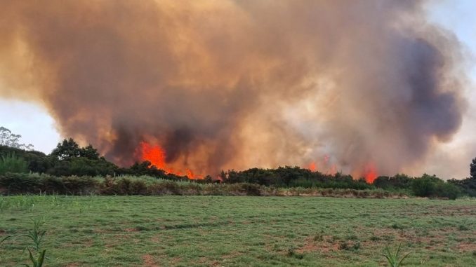 Новый пожар на севере острова Тенерифе, на этот раз - в La Esperanza Новый пожар на севере острова Тенерифе, на этот раз - в La Esperanza
