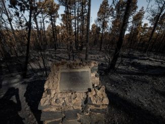 Пожар на севере Тенерифе. Огонь вроде как под контролем, но...
