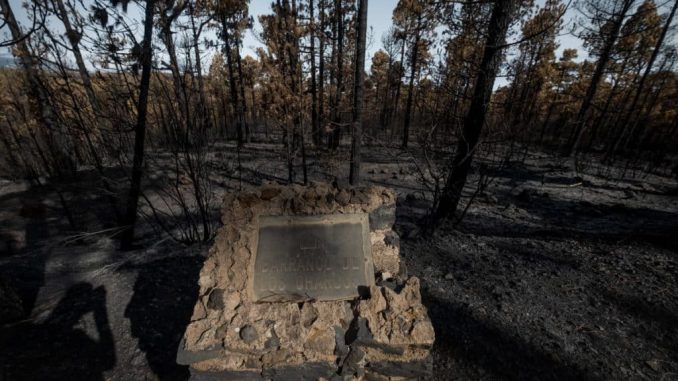 Пожар на севере Тенерифе. Огонь вроде как под контролем, но... Пожар на севере Тенерифе. Огонь вроде как под контролем, но...
