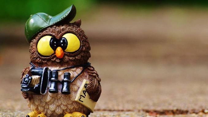 Тенерифе вышел на "тропу охоты" за туристами из Соединённых Штатов Тенерифе вышел на "тропу охоты" за туристами из Соединённых Штатов