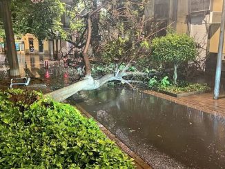 Несостоявшийся ураган на Канарах оставил много воды и больше тысячи инцидентов