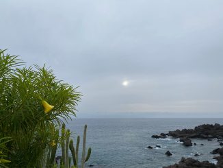 На Канарских островах в ближайшие дни будет тепло и калима. Лето пока что остаётся