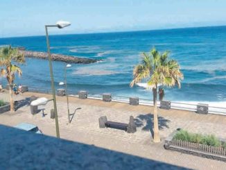 Микроводоросли вынудили власти закрывать пляжи на острове Тенерифе