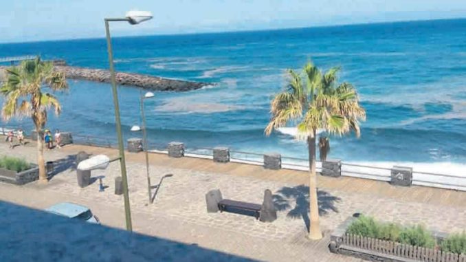 Микроводоросли вынудили власти закрывать пляжи на острове Тенерифе