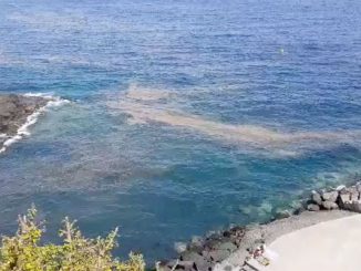 Микроводоросли достигают побережья и пляжей столицы Тенерифе