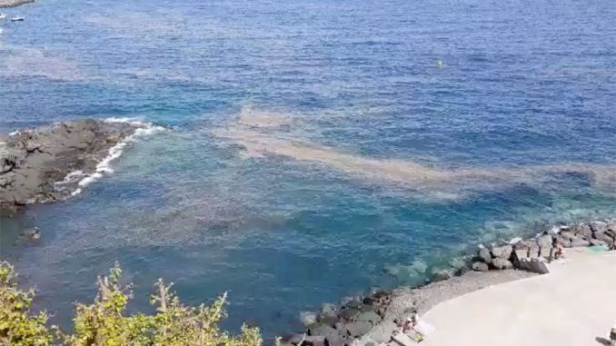 Микроводоросли достигают побережья и пляжей столицы Тенерифе Микроводоросли достигают побережья и пляжей столицы Тенерифе