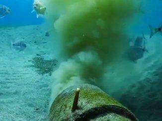 Тенерифе: борьба со сточными водами продолжает сливаться в канализацию