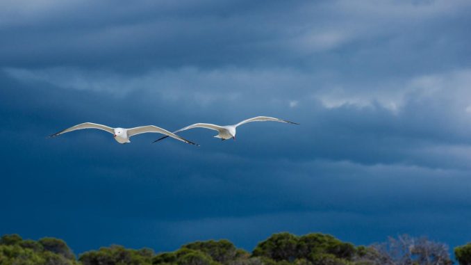 Готовьтесь, островитяне: сильный тропический шторм всё же идёт на Канарские острова Готовьтесь, островитяне: сильный тропический шторм всё же идёт на Канарские острова