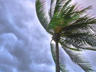 На Канарских островах наблюдают за возможным новым тропическим штормом