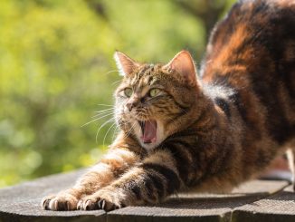 Не забудем о переходе на зимнее время: он состоится с субботы на воскресенье