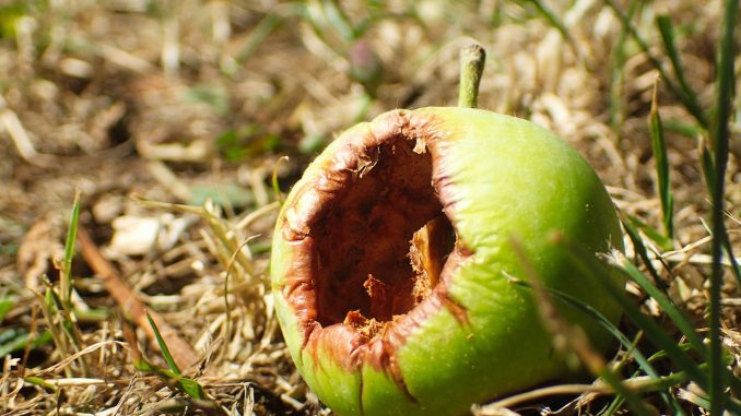 За "caso Mascarillas" взялась европейская прокуратура - скандал набирает обороты За "caso Mascarillas" взялась европейская прокуратура - скандал набирает обороты