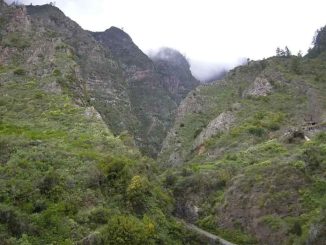 Тенерифе: парапланерист получил травму в Arafo после падения в труднодоступной зоне