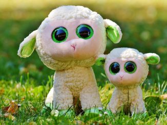 Бесплатный проезд на Тенерифе. Но не для всех и ничего общего с фанфарами вначале