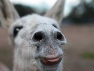 Количество вакансий выросло на Канарских островах на 75,80%