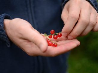 Цены на Канарских островах "лезут в гору", не зная отдыха