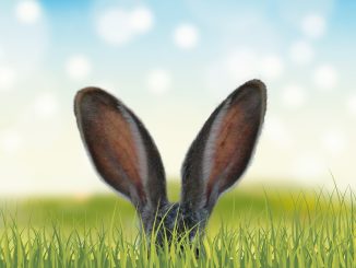 Испания справляется с рецессией лучше других стран зоны евро