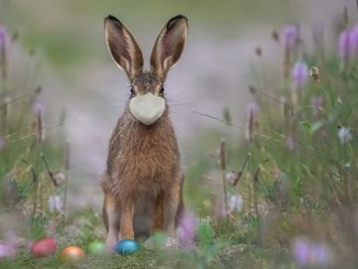 Маски, похоже, закончились, а вот вакцины для желающих ещё имеются в наличии
