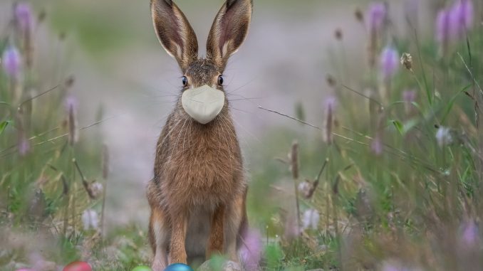 Маски, похоже, закончились, а вот вакцины для желающих ещё имеются в наличии Маски, похоже, закончились, а вот вакцины для желающих ещё имеются в наличии