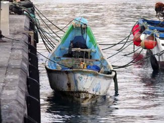 Договорились? Прибытие мигрантов на лодках на Канары в январе упало на 82%