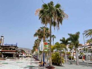 Тенерифе: задержан за предполагаемое сексуальное насилие в Arona