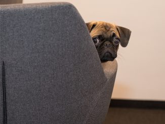 Кому не грозит безработица в Испании? Чиновникам - их становится всё больше