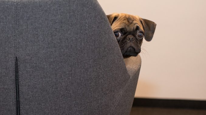 Кому не грозит безработица в Испании? Чиновникам - их становится всё больше Кому не грозит безработица в Испании? Чиновникам - их становится всё больше