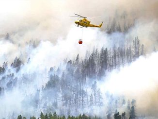 На Канарских островах объявлен режим повышенной опасности из-за лесных пожаров