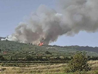 Подозревают, что сегодняшний пожар в Los Realejos был преднамеренным