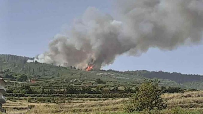 Подозревают, что сегодняшний пожар в Los Realejos был преднамеренным Подозревают, что сегодняшний пожар в Los Realejos был преднамеренным