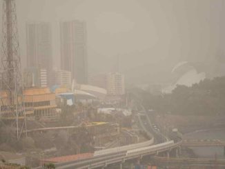 Власти на Канарах обеспокоены за людей, однако против калимы и они бессильны