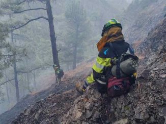 Пожар в национальном парке на острове La Palma был вызван людьми