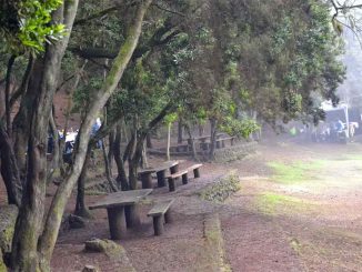 Что не так на Тенерифе? Буквально меньше, чем за час, на острове нашли два трупа