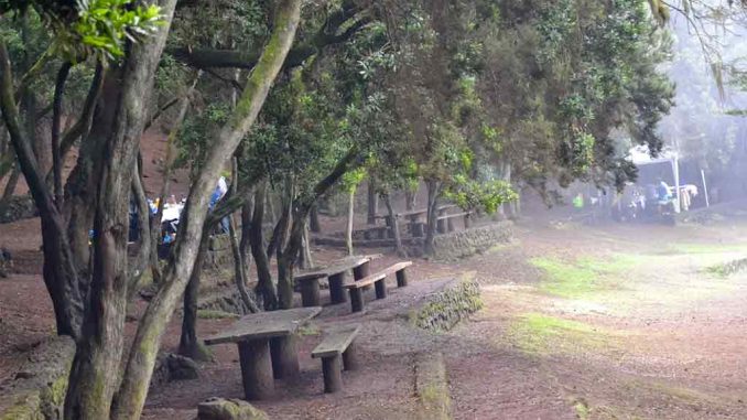 Что не так на Тенерифе? Буквально меньше, чем за час, на острове нашли два трупа Что не так на Тенерифе? Буквально меньше, чем за час, на острове нашли два трупа