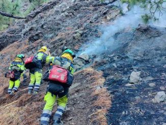 Кофе вышел боком - на острове La Palma задержали туриста, устроившего пожар