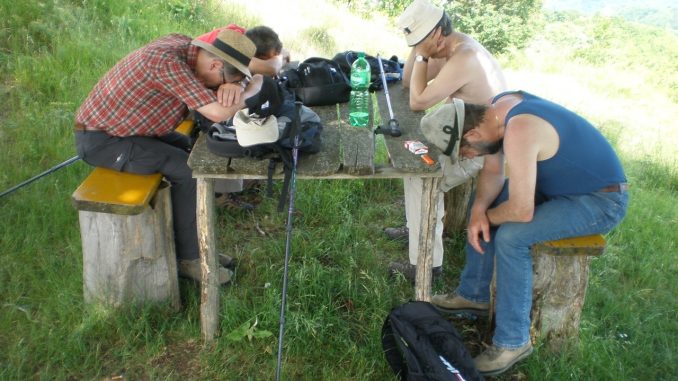 Волна жары достигла Канарских островов: температура может быть до 40 градусов Волна жары достигла Канарских островов: температура может быть до 40 градусов