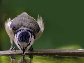Погода на Канарах колеблется между просто летом, холодным или очень жарким летом