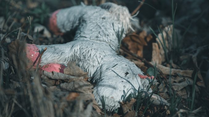 Больше внимания детям: Канары на четвёртом месте по исчезнувшим несовершеннолетним Больше внимания детям: Канары на четвёртом месте по исчезнувшим несовершеннолетним